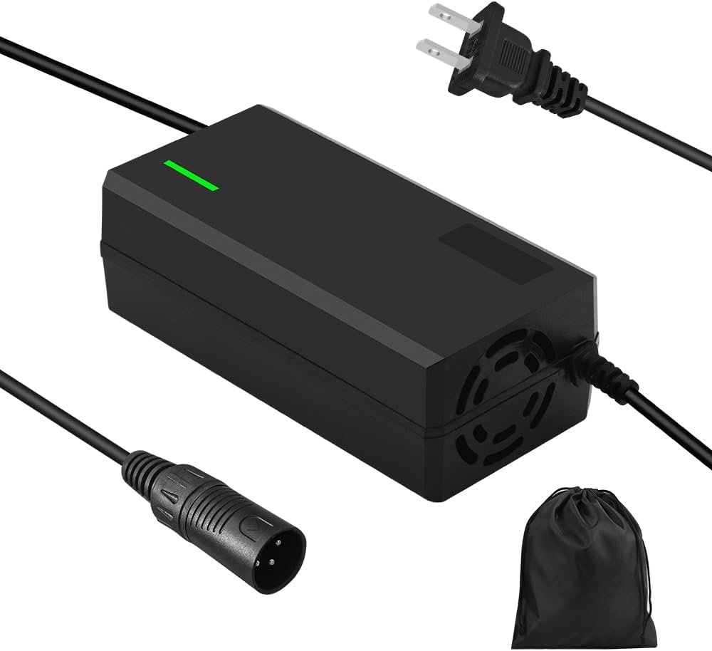 57.6V LiFePO4 Battery Charger (2A DC Plug or 5A XLR Plug)