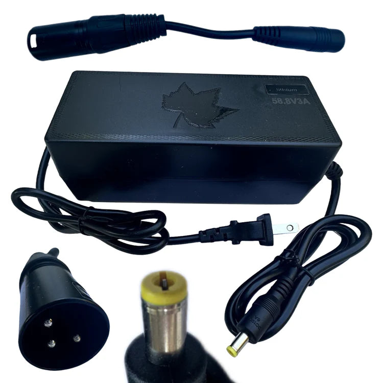 57.6V LiFePO4 Battery Charger (2A DC Plug or 5A XLR Plug)