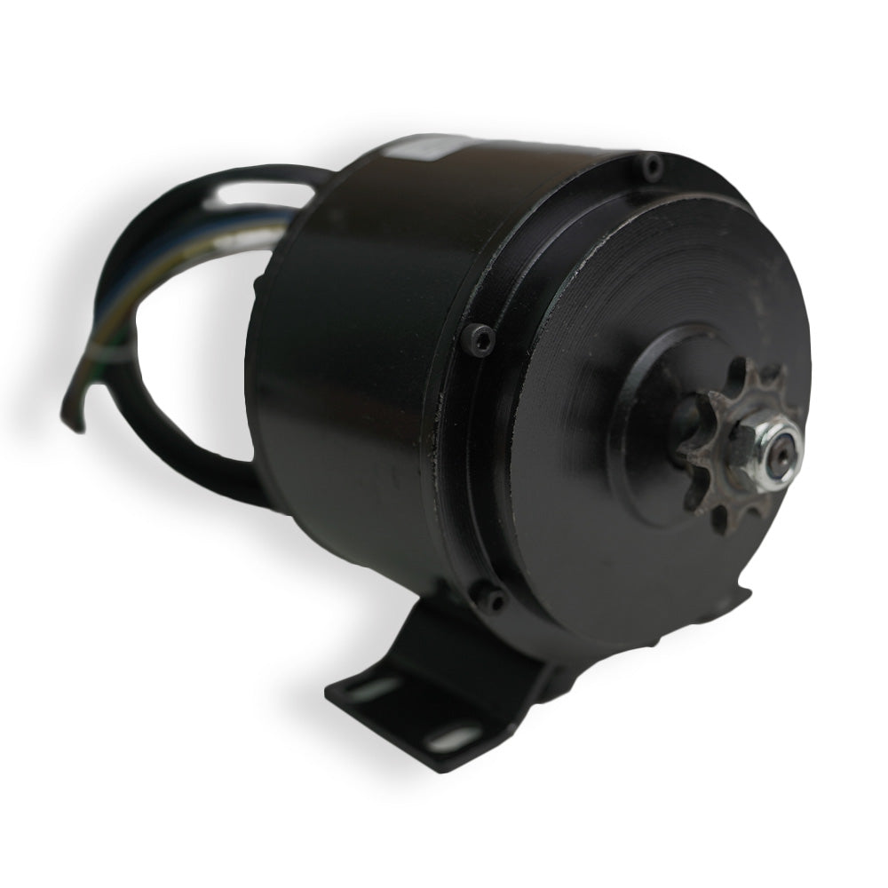 BLDC 500 Watt Motor – Golden Motor - Main Image