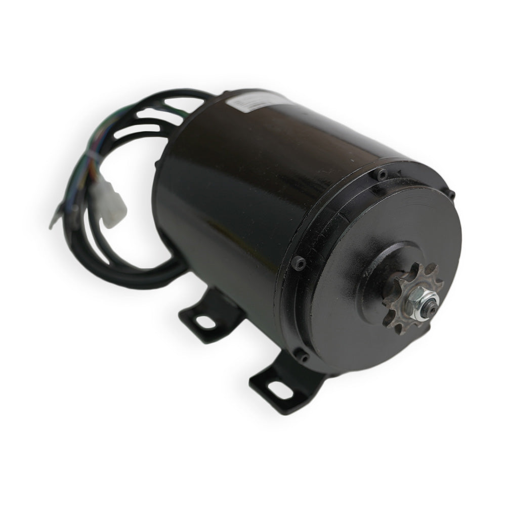 BLDC 800 Watt Motor – Golden Motor - Main Image