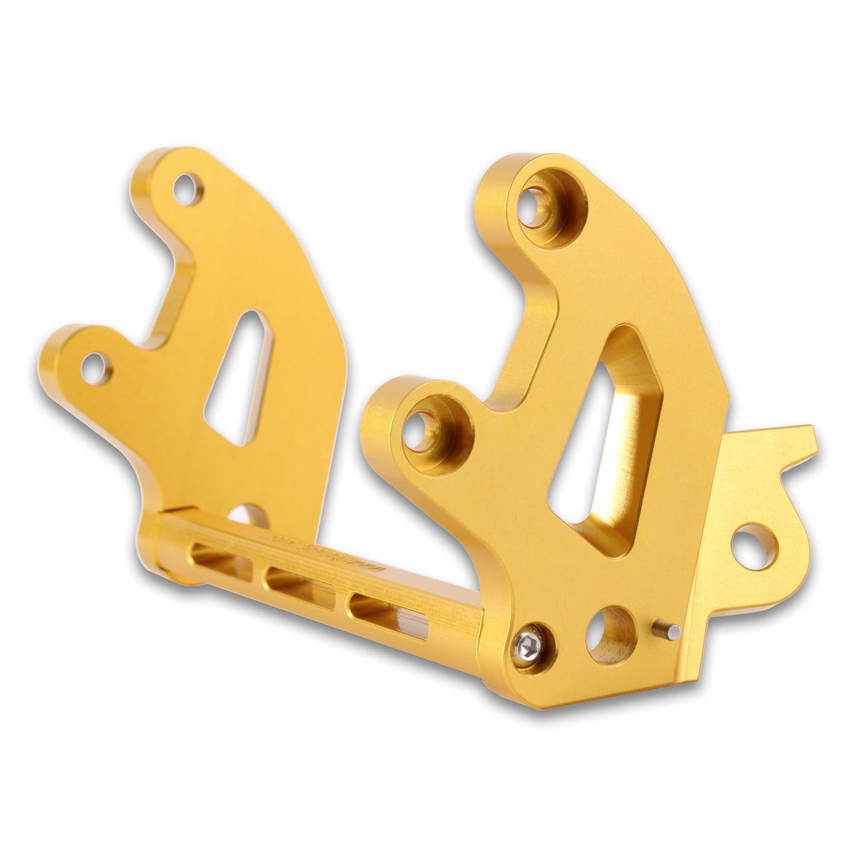 E Ride Pro SS 20mm Lowering Peg Bracket Set With Kickstand Option and Support Brace