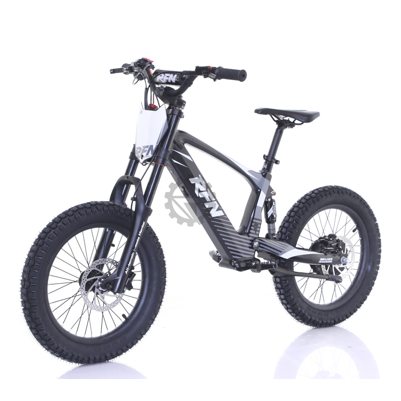 RFN Evo 18 Electric Bike Black