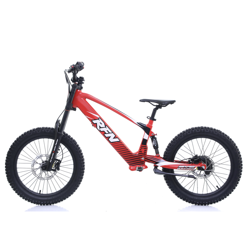 RFN Evo 20 Electric Bike Red