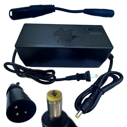 57.6V LiFePO4 Battery Charger (2A DC Plug or 5A XLR Plug)