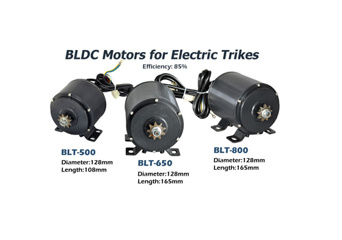 BLDC 650 Watt Motor