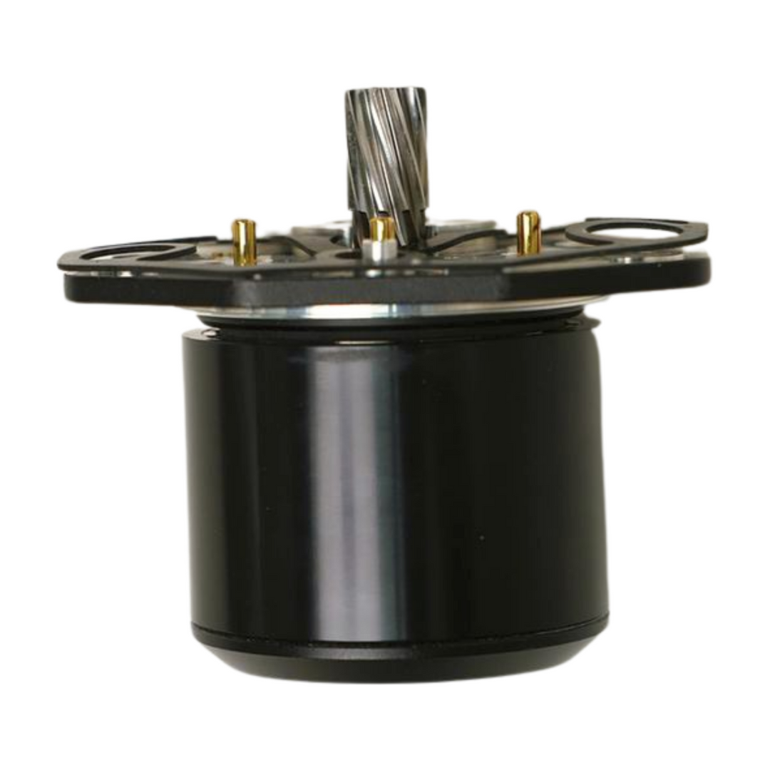 CYC Motors – Golden Motor