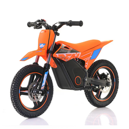 RFN Warrior SX-E500 Electric Dirt Bike